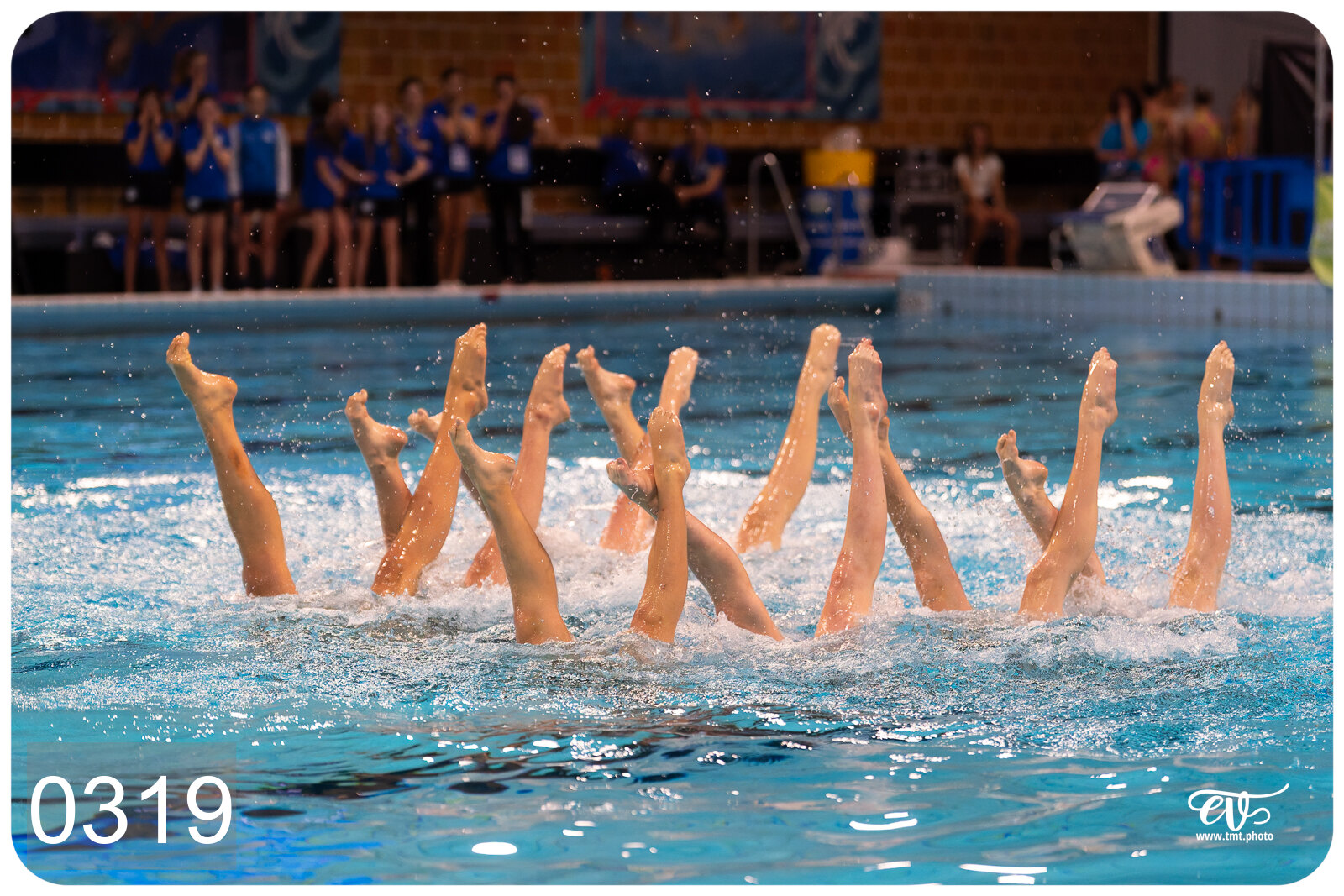 CHAMPIONNAT DE FRANCE DE NATATiON ARTISTIQUE N1 & ELITE 2026